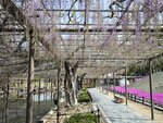 IMG_20260414_094613