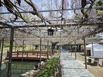 IMG_20260414_094718