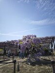 IMG_20260414_095751