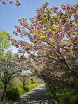 IMG_20260414_111332