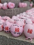 IMG_20260414_145210