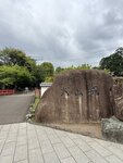 IMG_2687