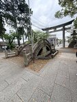 IMG_2688