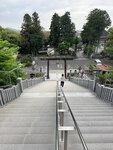 IMG_2693