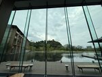 IMG_2727