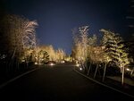 IMG_2790