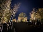 IMG_2791