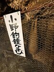 IMG_2906