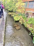 IMG_2929