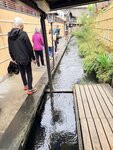 IMG_2931