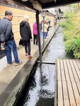 IMG_2932