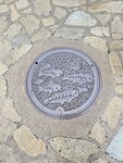 IMG_2939
