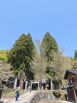 IMG_20260416_102759