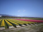 IMG_20260416_152018
