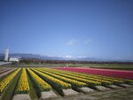 IMG_20260416_152025