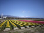 IMG_20260416_152027