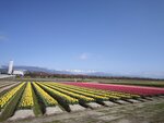 IMG_20260416_152038
