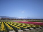 IMG_20260416_152043