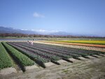 IMG_20260416_152256