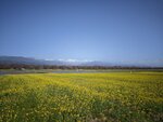 IMG_20260416_152554