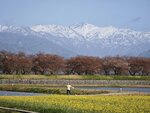 IMG_20260416_152701