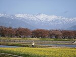 IMG_20260416_152706