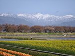 IMG_20260416_152716