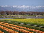 IMG_20260416_152729