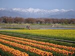 IMG_20260416_152754