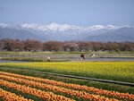 IMG_20260416_152802