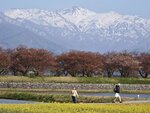 IMG_20260416_152827