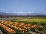 IMG_20260416_152846
