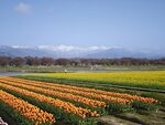 IMG_20260416_152943