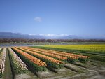 IMG_20260416_152955