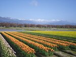 IMG_20260416_153013