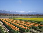IMG_20260416_153020