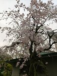 IMG_20260416_174143