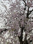 IMG_20260416_174148