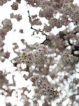 IMG_20260416_174228