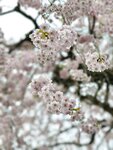 IMG_20260416_174308