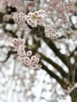 IMG_20260416_174332