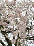 IMG_20260416_174417