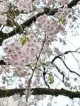 IMG_20260416_174512
