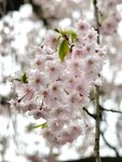 IMG_20260416_174602
