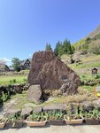 IMG_3129