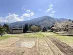 IMG_3130