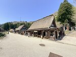 IMG_3139
