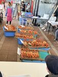 IMG_3198