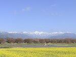 IMG_3220
