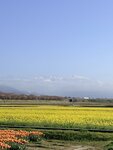 IMG_3227